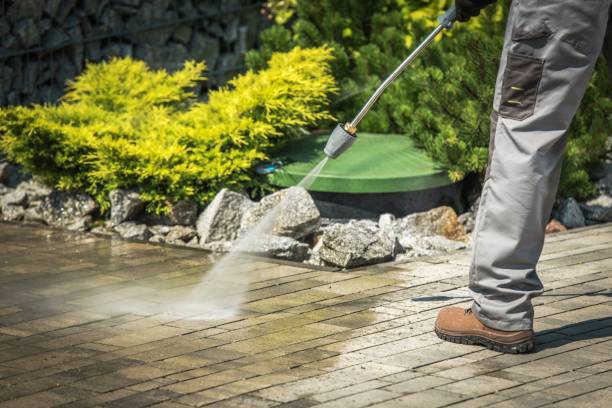 Best Playground Equipment Cleaning  in Oreana, IL