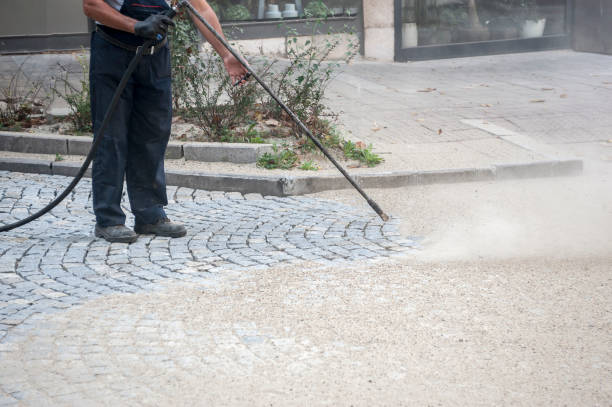 Best Factory Floor Cleaning  in Oreana, IL