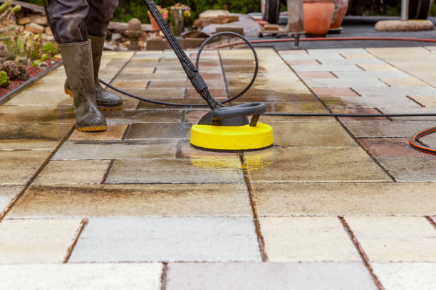 Best Building Exterior Washing  in Oreana, IL