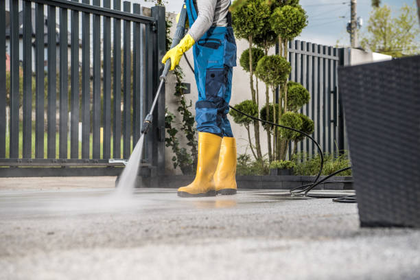 Spring Cleaning in Oreana, IL